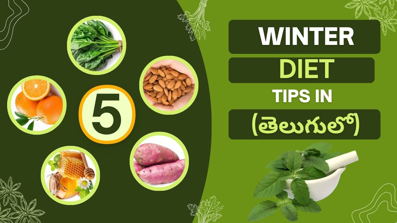 Winter Diet Tips in Telugu