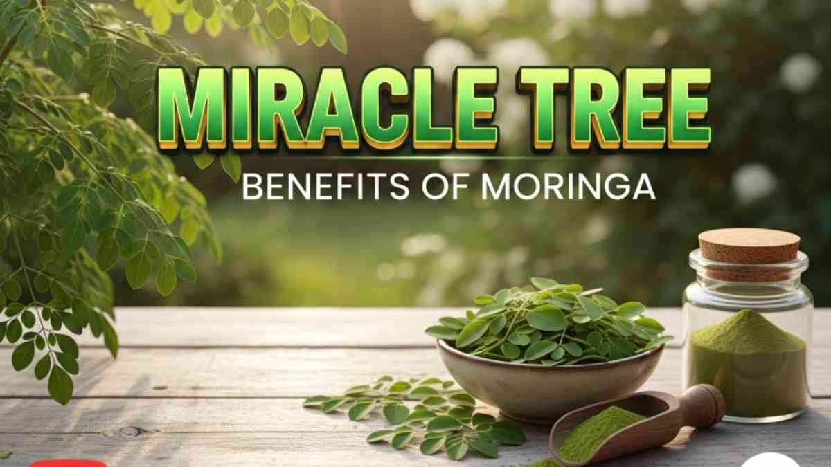 Miracle Tree